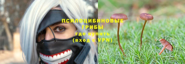 мет Алексин