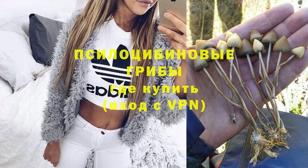 мет Алексин