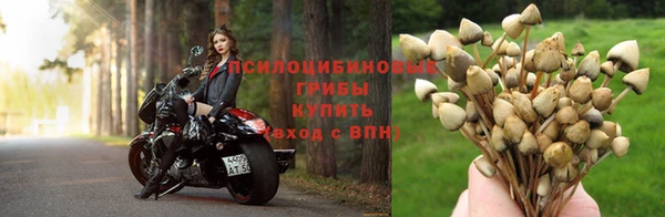 мескалин Вязьма