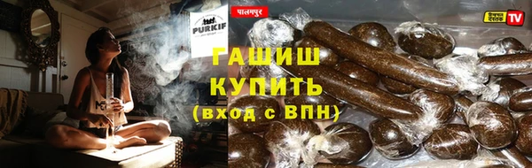 индика Вяземский